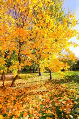 310320149_2363035453848815_8783706786589701570_n