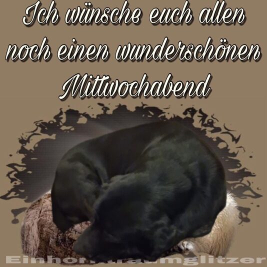 mittwochabend_018