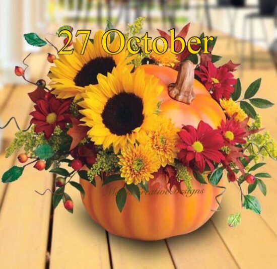 247963212_3036412033263260_6634614262488731677_n (1)