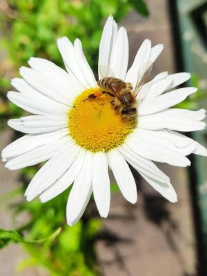 IMG_20230531_122605~2