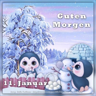 IMG_6525.JPG 11. 01.