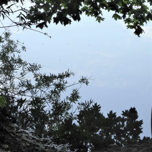 2022-08-14 Bramf.See Friedhof (9)