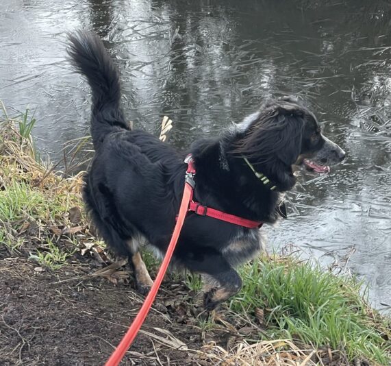 8474866A-6BED-45D9-B18F-119393BD6D48