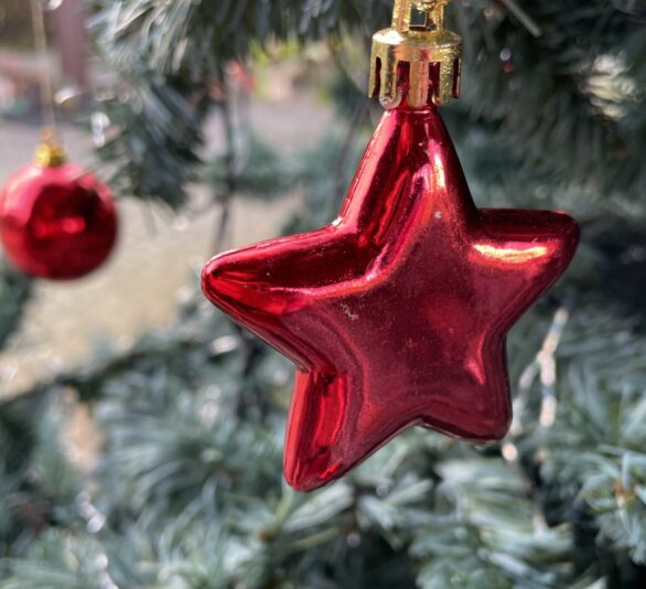 C45FEACB-00E6-4299-8407-E2FAE20464EC