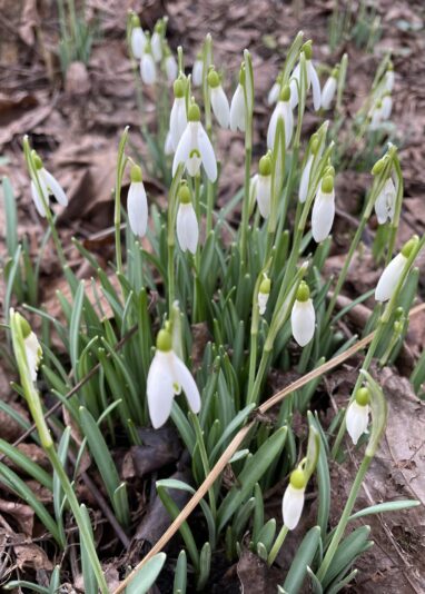 CCC9D0E3-CC91-4FC9-9EEF-06ED35188787