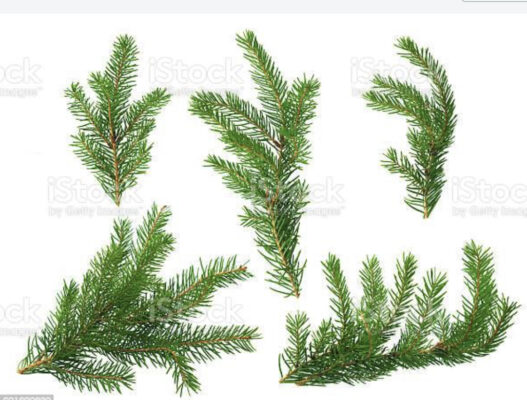 F7B28DC6-1F08-4526-8299-85856926F0A1