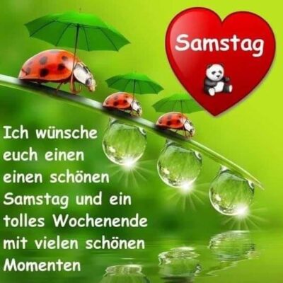 320807299_1834213433596689_310413361531901671_n (2)