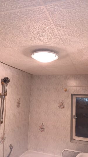 IMG_20260219_184624_789