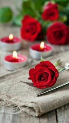 104049202_2669636513357313_7570623330765570619_o