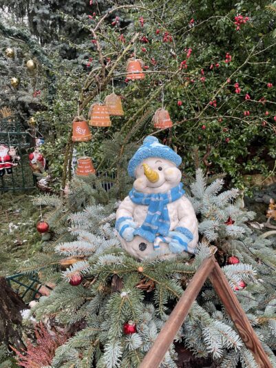 CB6079B9-BB83-4D4E-A54E-39D84F278070