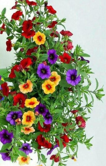 158369335_2856759107895221_8006248944205947231_n