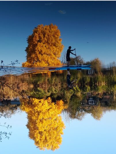 Screenshot_20241027_193133_Gallery