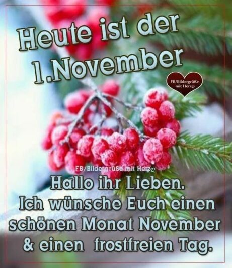 312486350_492863859556741_2892919013427472867_n