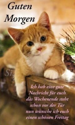 299164488_381791097433328_3788761116605053252_n (2)