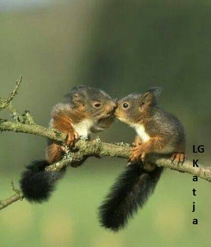 150034891_3737660879645853_928690250704053019_n