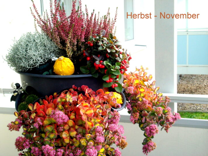 Die Sonne zeigt sich - 12 Grad