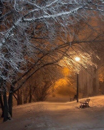 135265517_432158827823397_2240728250582706975_n