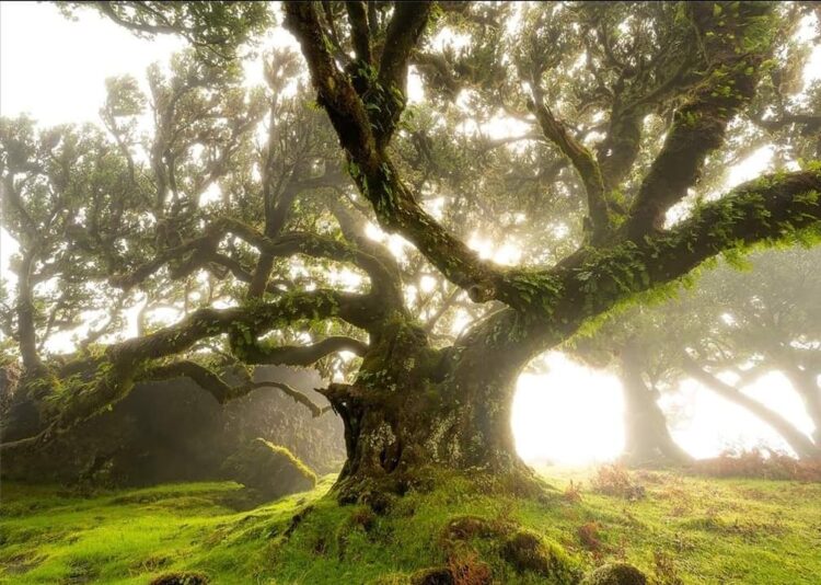 123695612_3229005883895191_3288973291648231062_o