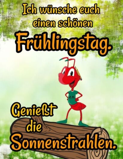 cf2eed81f2a07b8937b03f54dca53cee