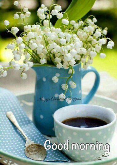 178460302_2897834703787661_7511341285706987433_n