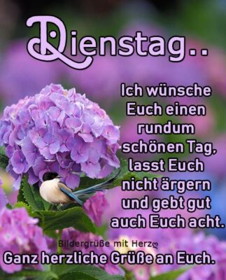 189698231_918644118706058_4636993103555967235_n (1)