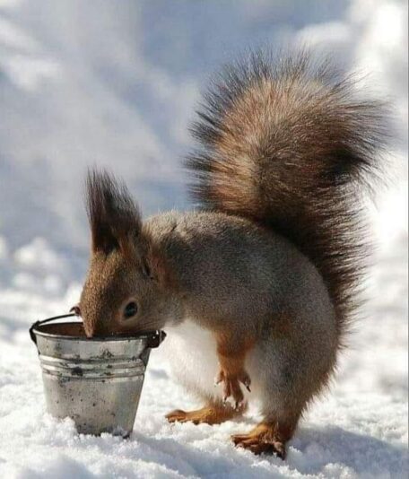 130187047_917933528946700_4238603621249706630_n