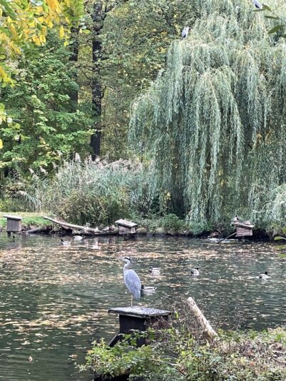 7E1A3F3E-A209-46D5-AA46-F69E1C35A8BA