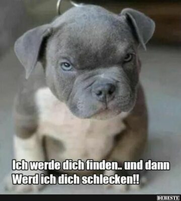 b7d75367ac89d92a4ad2955b5bef2d5e