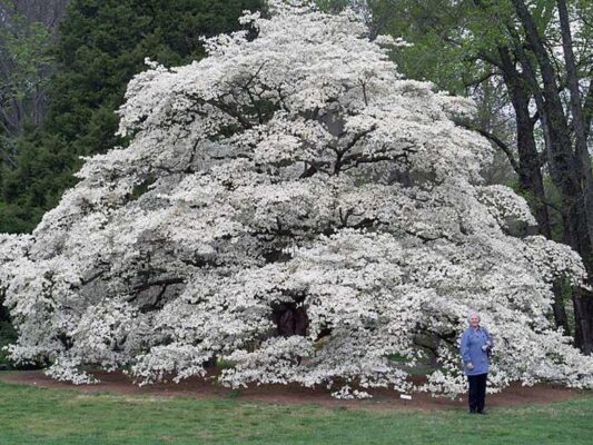 179810174_3970486746371062_3341487263944461709_n