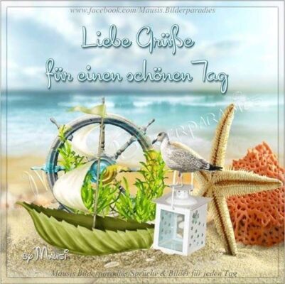 f721ff6661a16688f8eebc599760b667