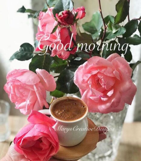 200334998_2934488110122320_3790821740421585612_n