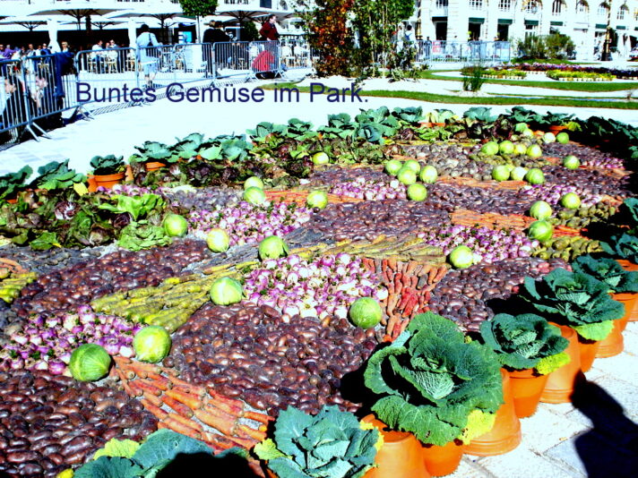 Buntes Gemüse im Park.