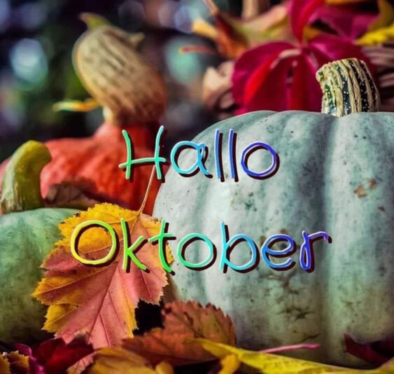 IMG_5364.JPG Hallo Oktober