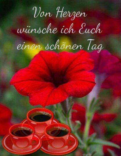 IMG_4701.JPG einen schönen Tag