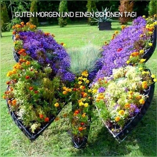 178877042_10224923209885769_970398630078693845_n (1)