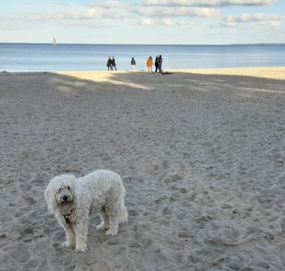 Screenshot_20240620_220303_Gallery