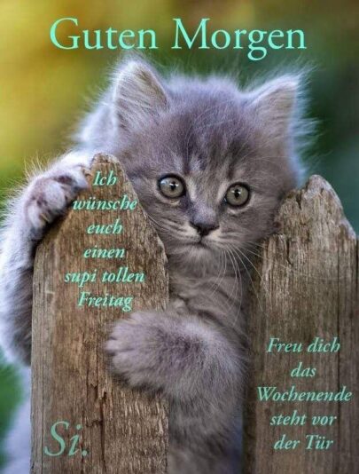 296161932_372732731672498_5617516954367051136_n