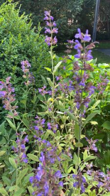 B07A5739-E33C-4F25-B743-0895552B23A5