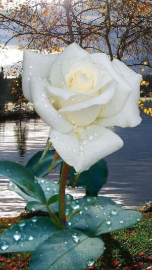 158717440_2878873032400507_7602551991276030114_o