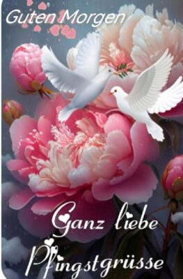 436224946_122145691586162795_2636221613353279126_n