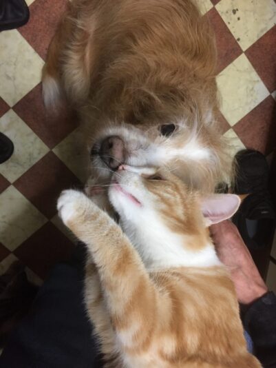 95E5124E-05AA-4E54-86C9-8027F4F14A8F