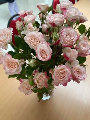 480184241_1996312370792086_5063670338759818534_n