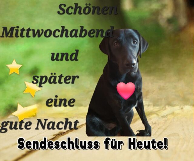 8fe45b8b75fd25051ec4ef291d112000