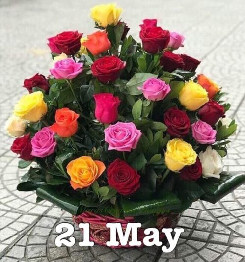 281785068_3201056656798796_4932576462569542179_n (2)