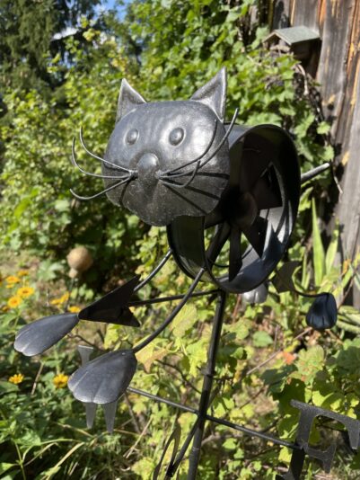 0F9D04C9-7D63-49B3-92EA-A5066876F7ED