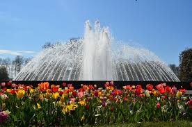 images - 2024-04-06T094155.162