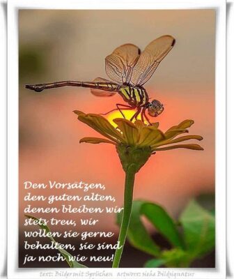 288059858_5213797935353210_9098146089007996401_n