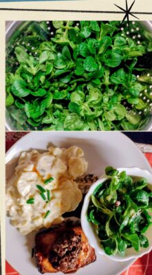 20250302_194049-COLLAGE