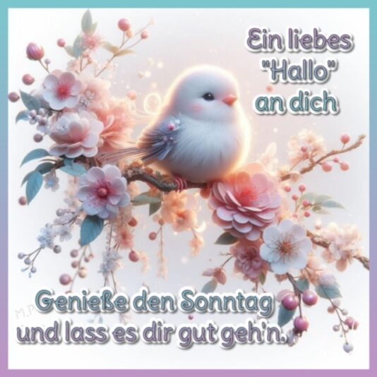 IMG_5425.JPG ein Hallo zum Sonntag