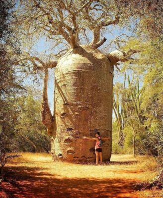 128199329_1296314457402958_6176290390985008858_o